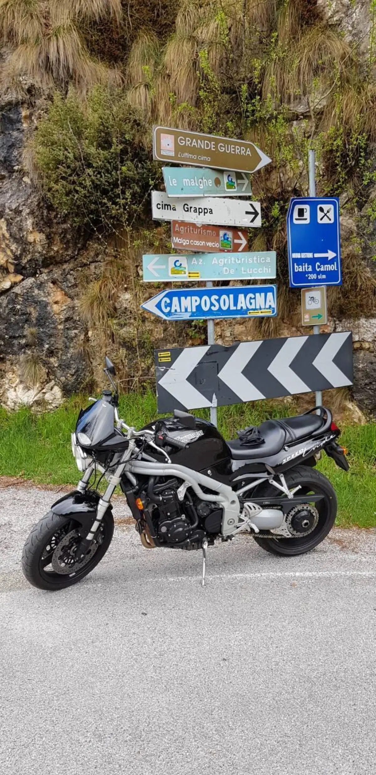 Triumph Speed Triple T509 / 955i (5)