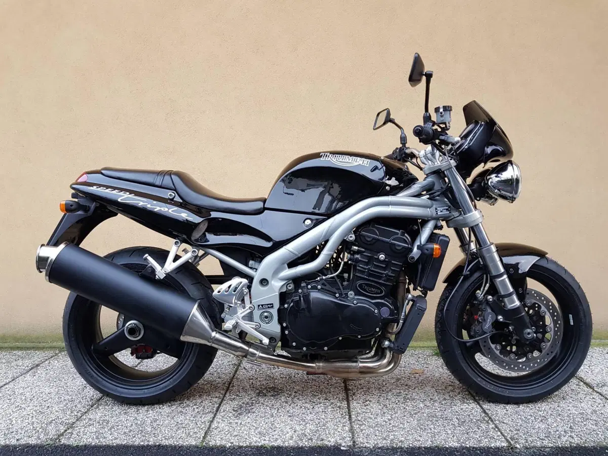 Triumph Speed Triple T509 / 955i