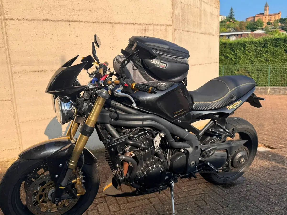 Triumph Speed Triple 1050 (2005 - 11)
