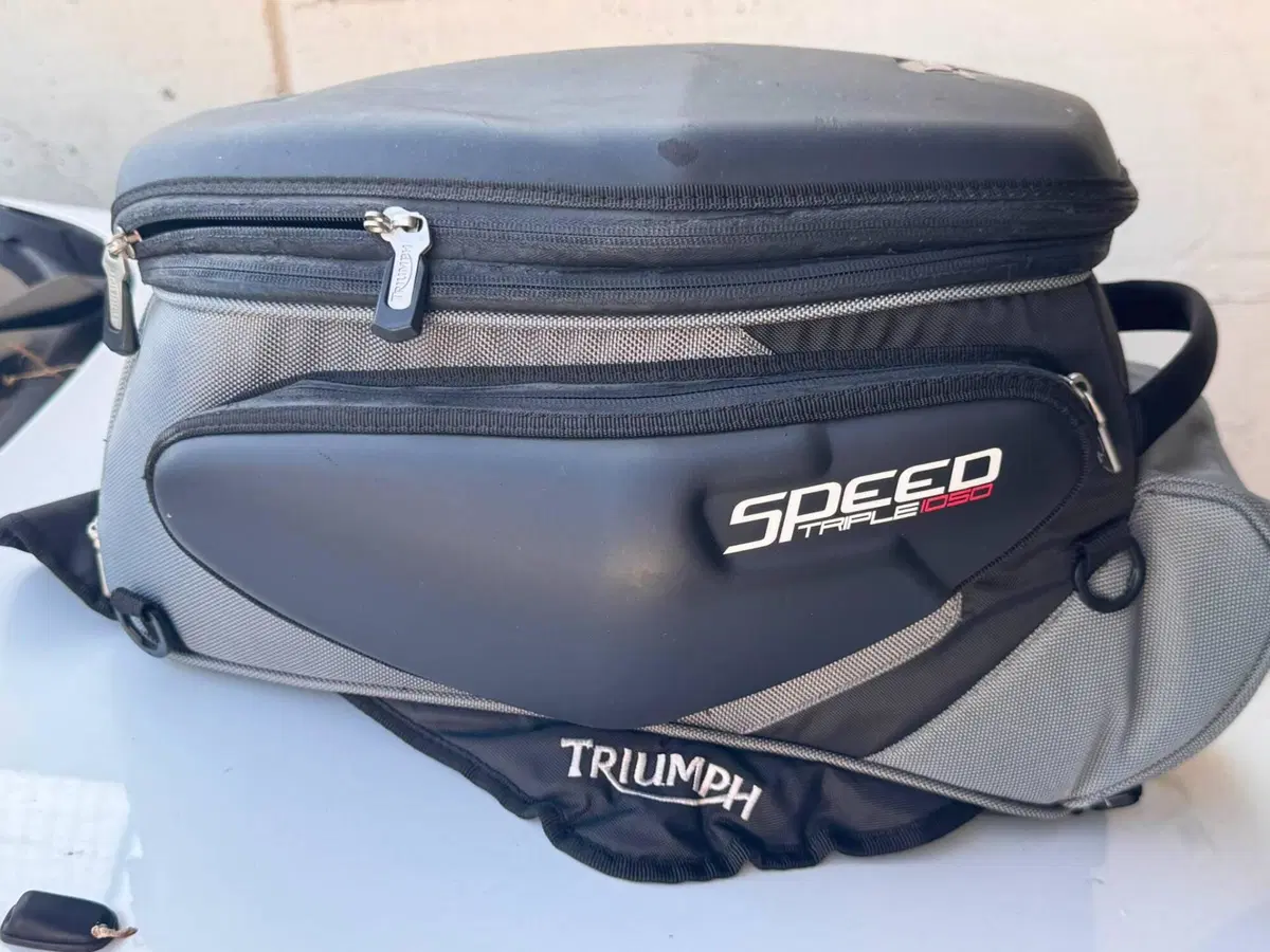 Triumph Speed Triple 1050 (2005 - 11) (2)