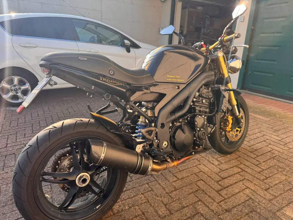 Triumph Speed Triple 1050 (2005 - 11) (4)