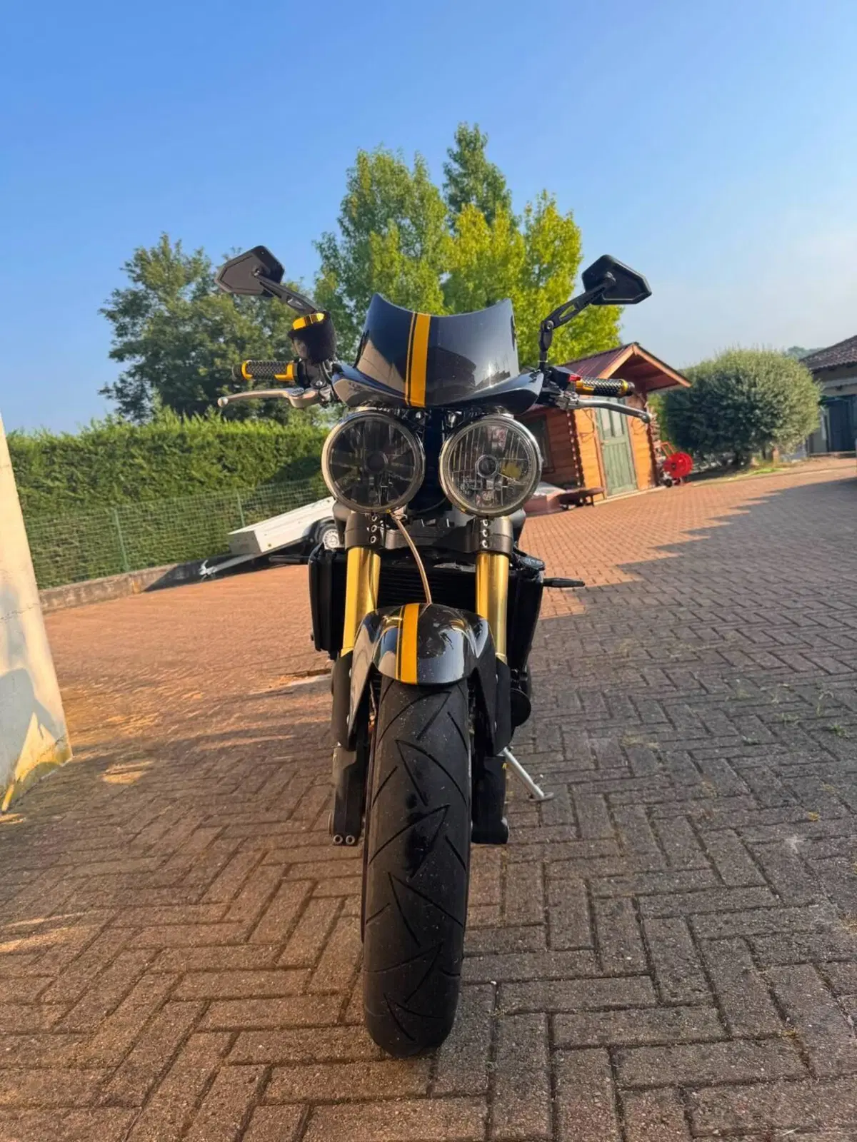 Triumph Speed Triple 1050 (2005 - 11) (5)