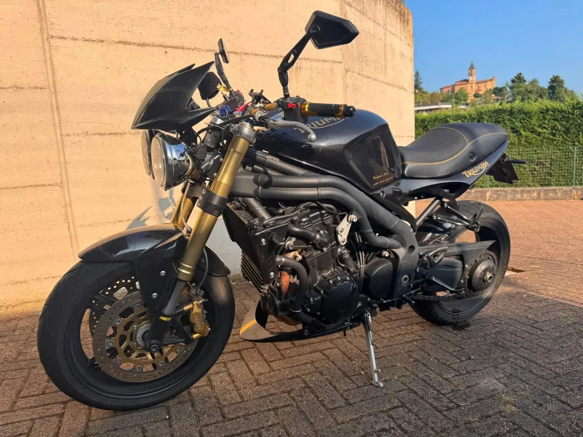 Triumph Speed Triple 1050 (2005 - 11) (6)
