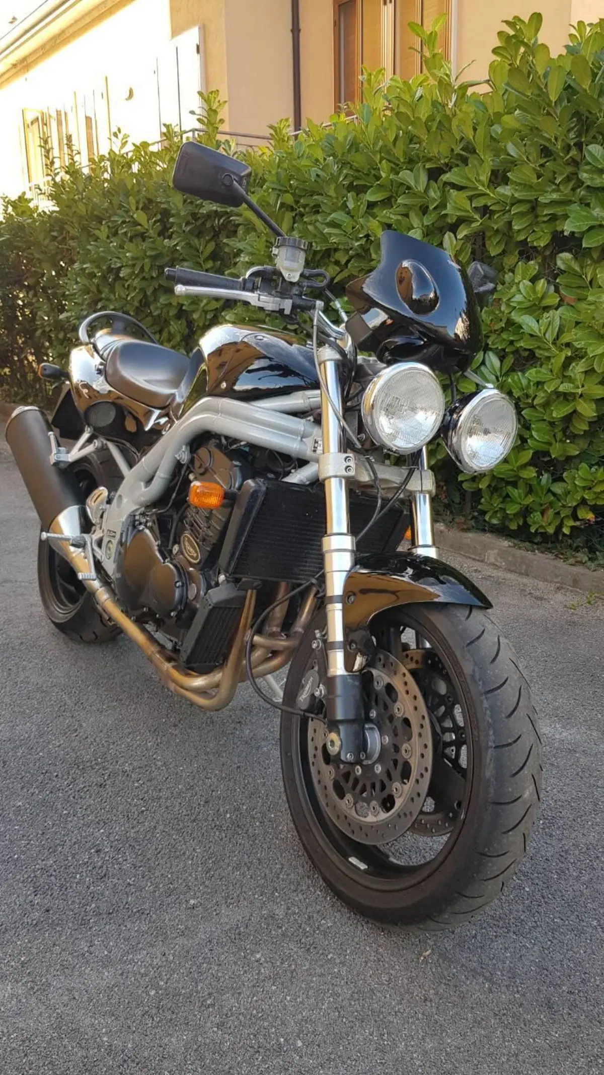 Triumph Speed Triple T509 / 955i (6)