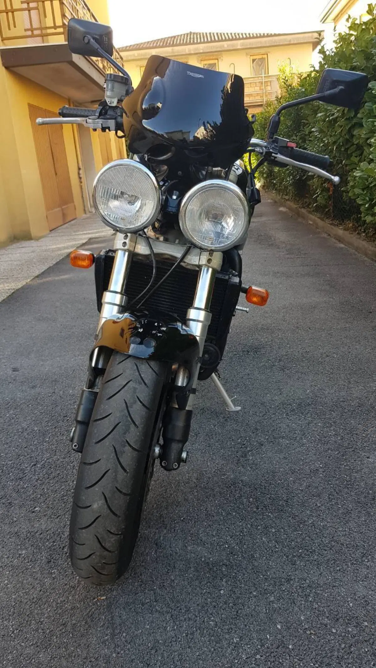 Triumph Speed Triple T509 / 955i (7)