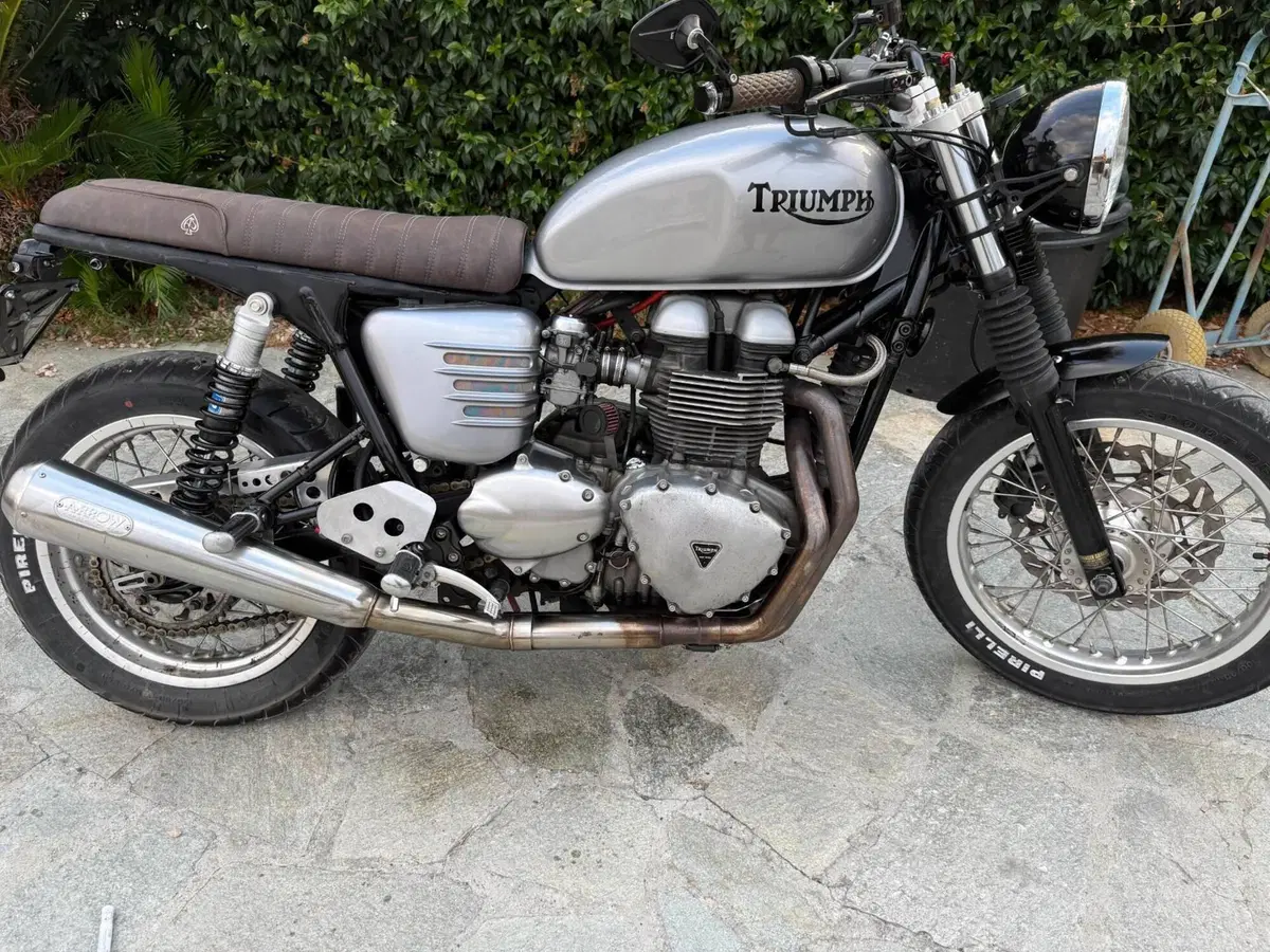 Triumph Thruxton 900 (2004 - 15)