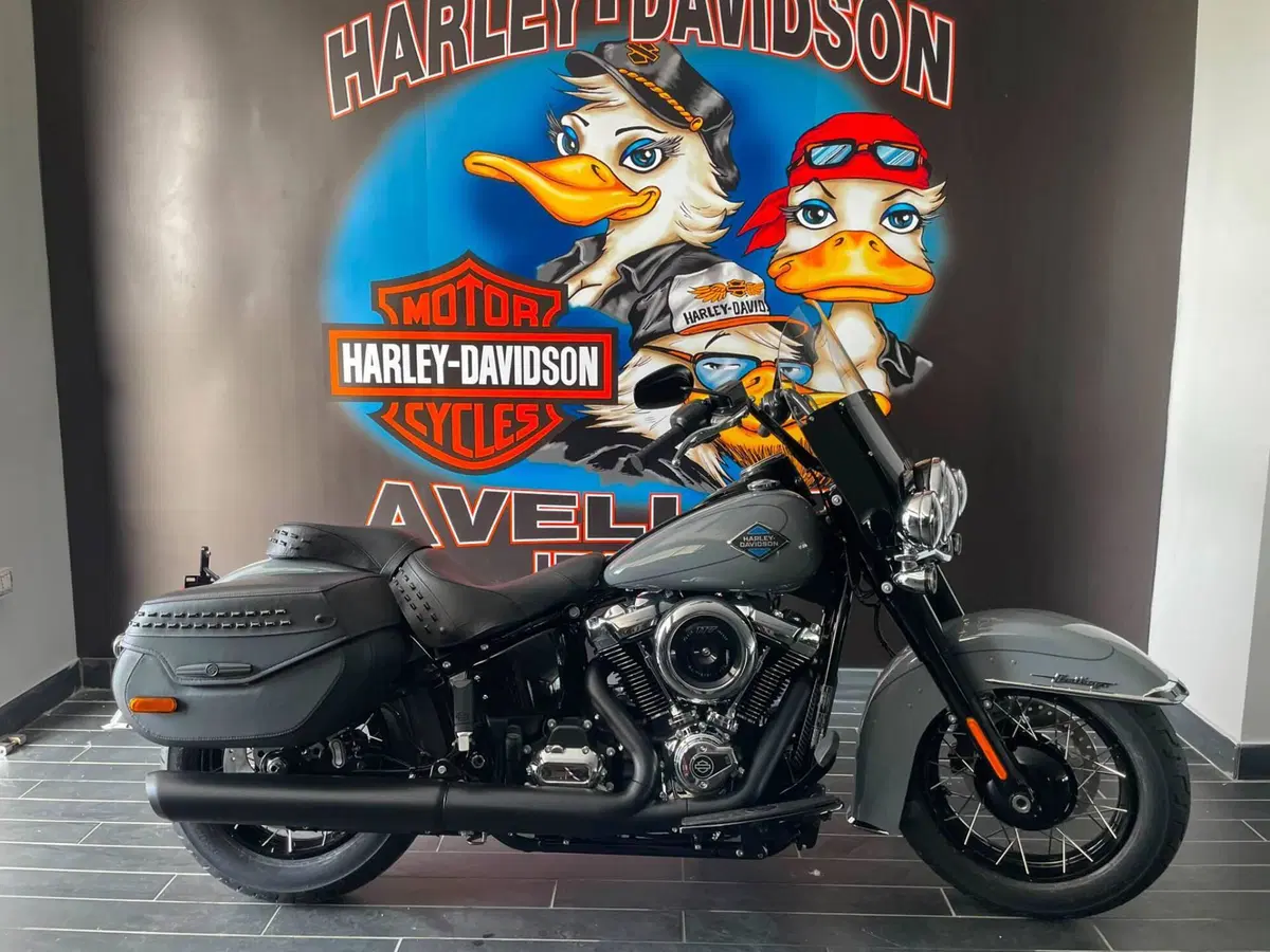 Harley-Davidson Heritage Classic (2025 - 26) (10)