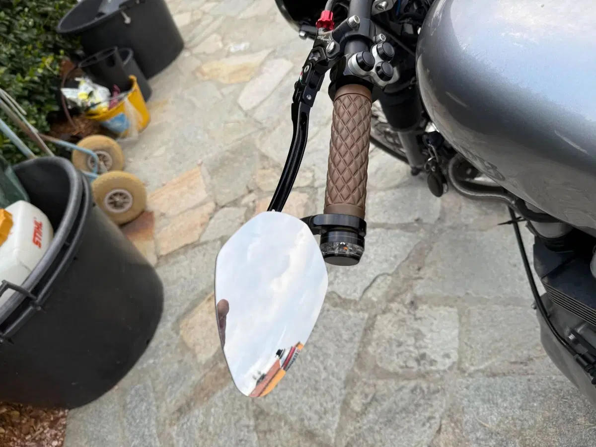 Triumph Thruxton 900 (2004 - 15) (9)