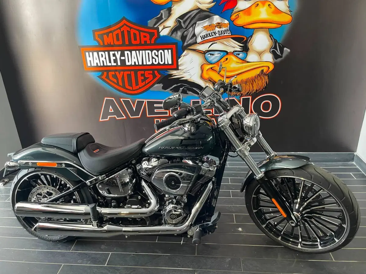 Harley-Davidson Breakout 117 (2025 - 26) (2)