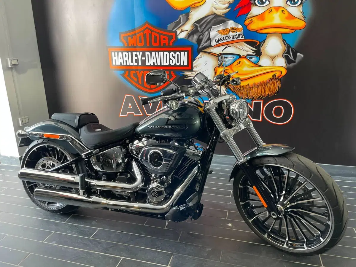Harley-Davidson Breakout 117 (2025 - 26) (5)
