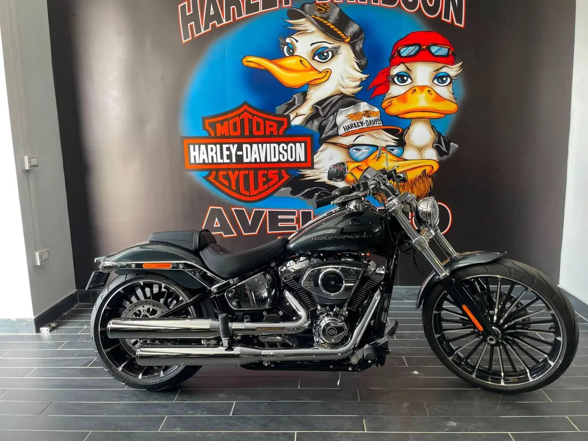 Harley-Davidson Breakout 117 (2025 - 26) (8)