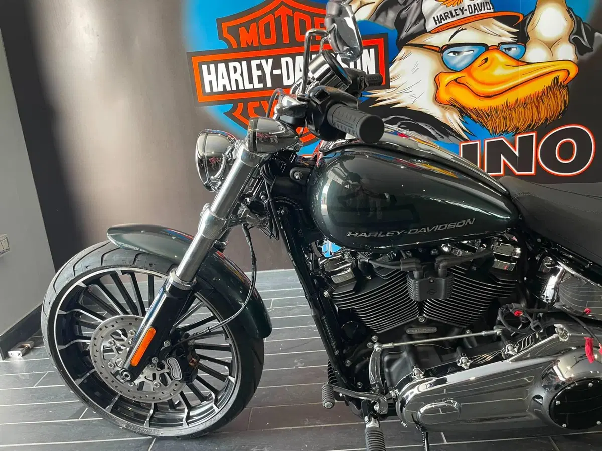 Harley-Davidson Breakout 117 (2025 - 26) (9)
