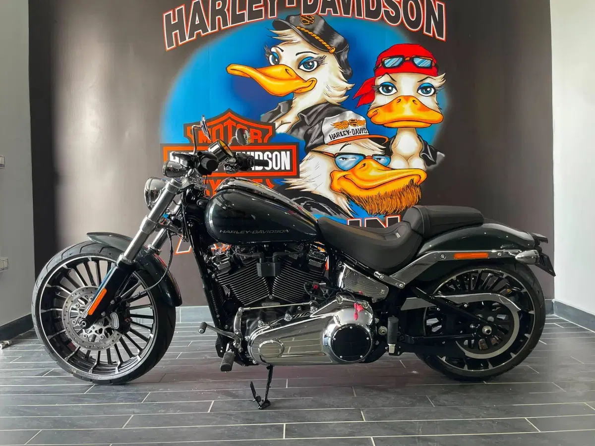 Harley-Davidson Breakout 117 (2025 - 26) (10)