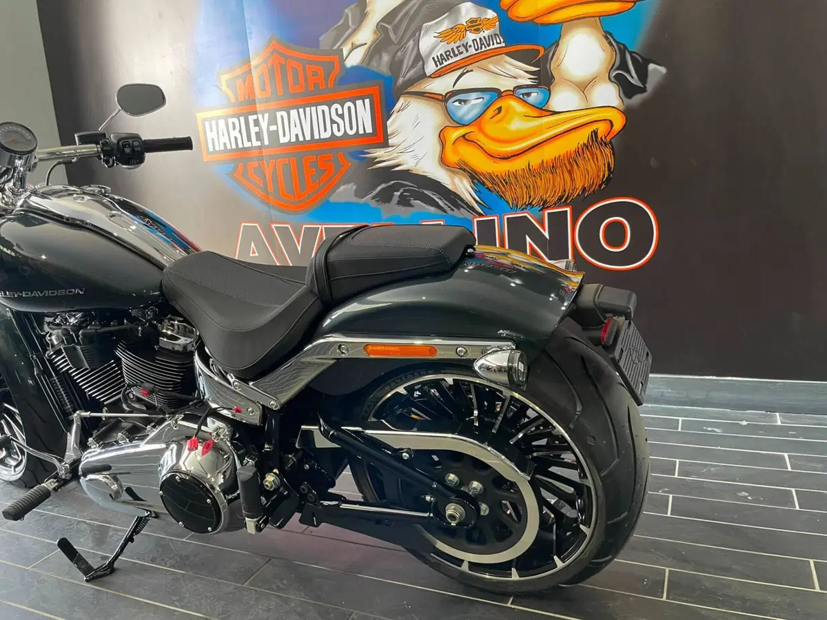Harley-Davidson Breakout 117 (2025 - 26) (11)