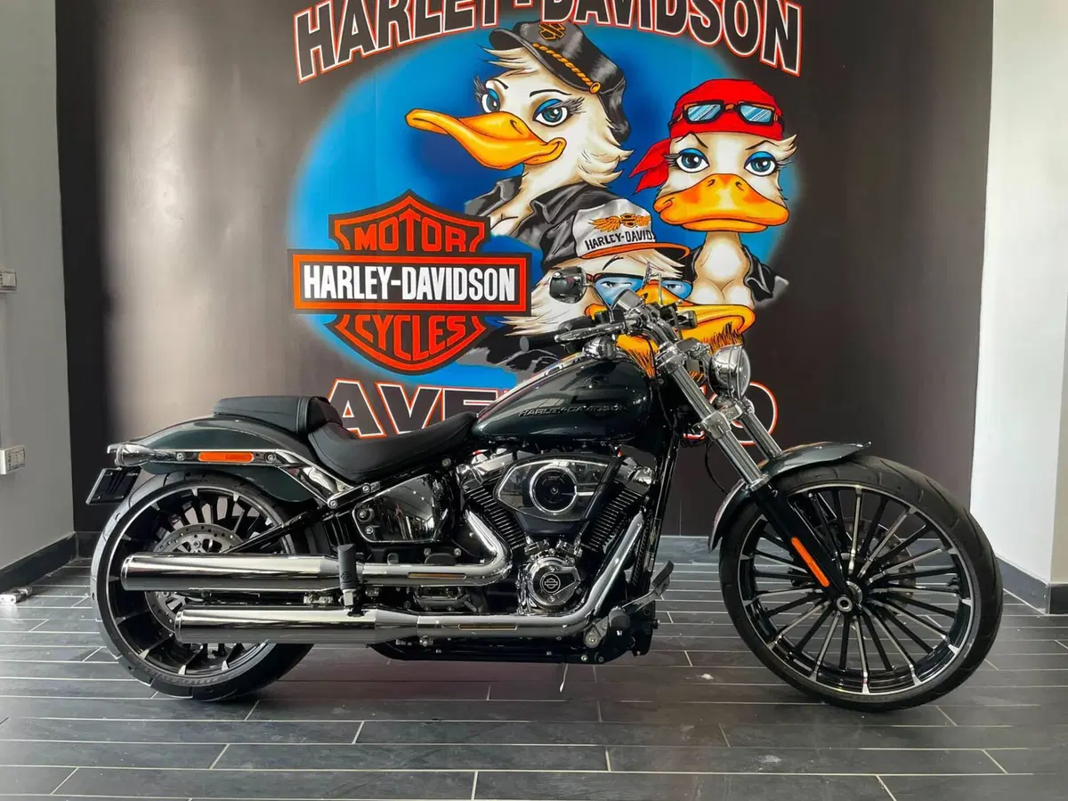 Harley-Davidson Breakout 117 (2025 - 26) (12)