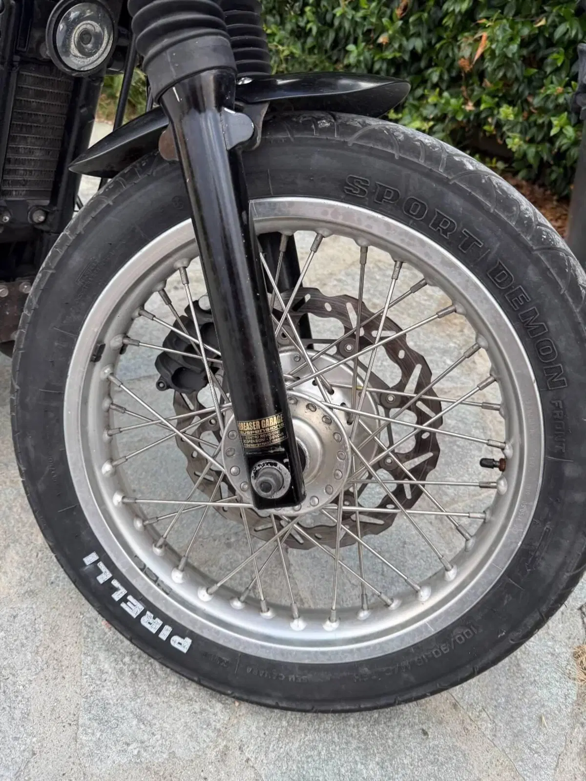 Triumph Thruxton 900 (2004 - 15) (17)