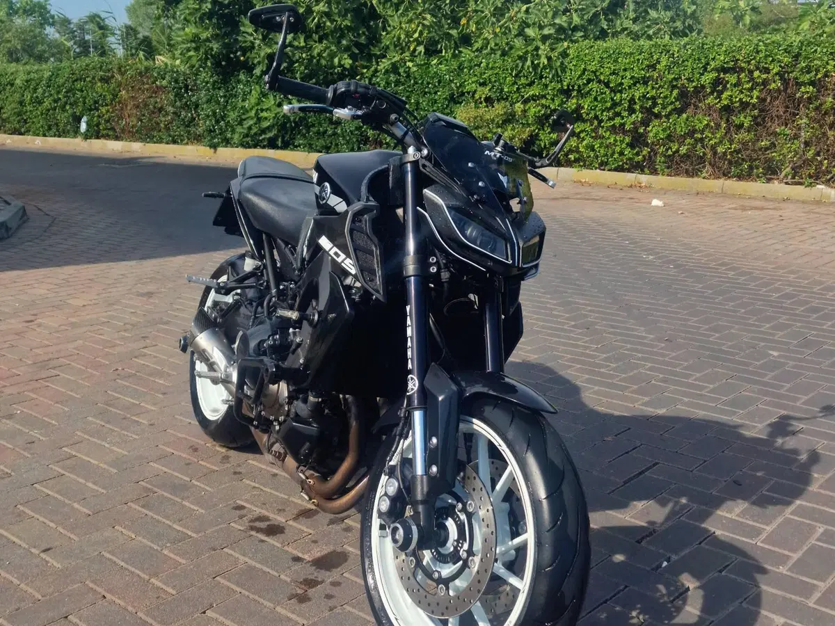 Yamaha MT-09 (2017 - 20) (2)