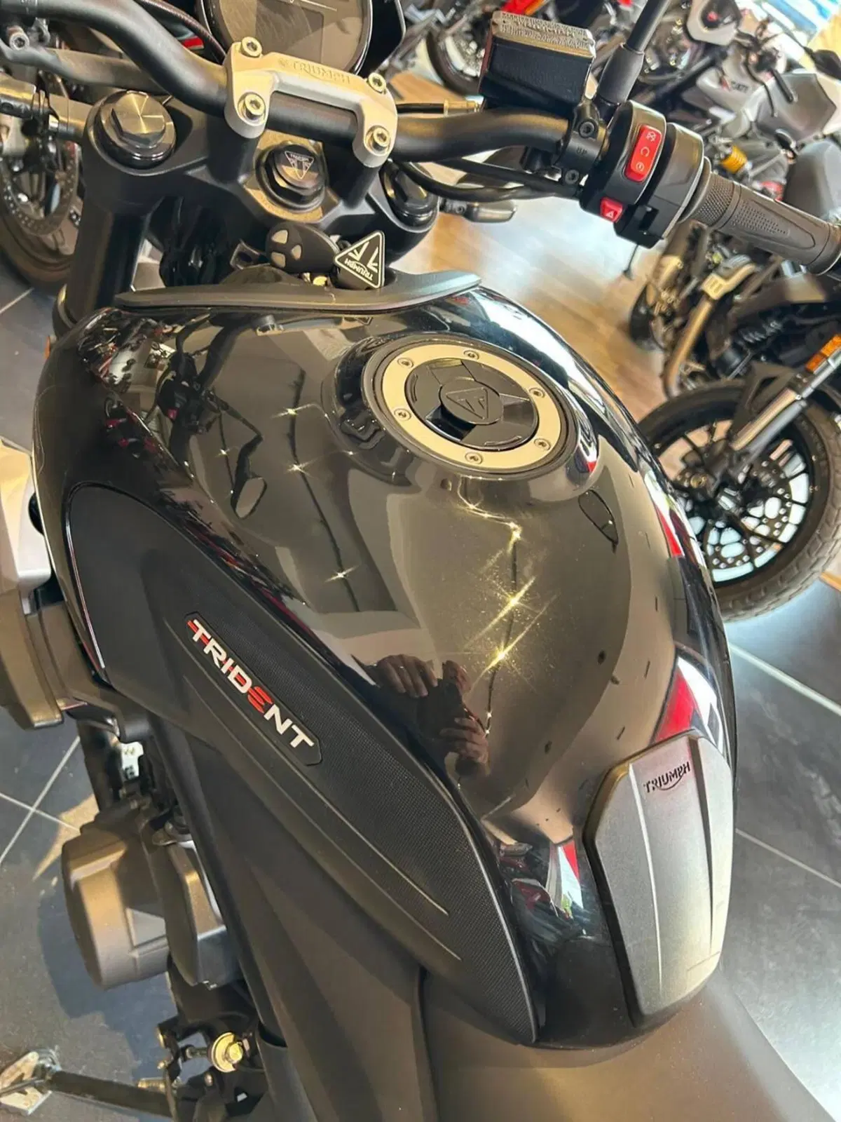 Triumph Trident 660 (2021 - 24) (13)
