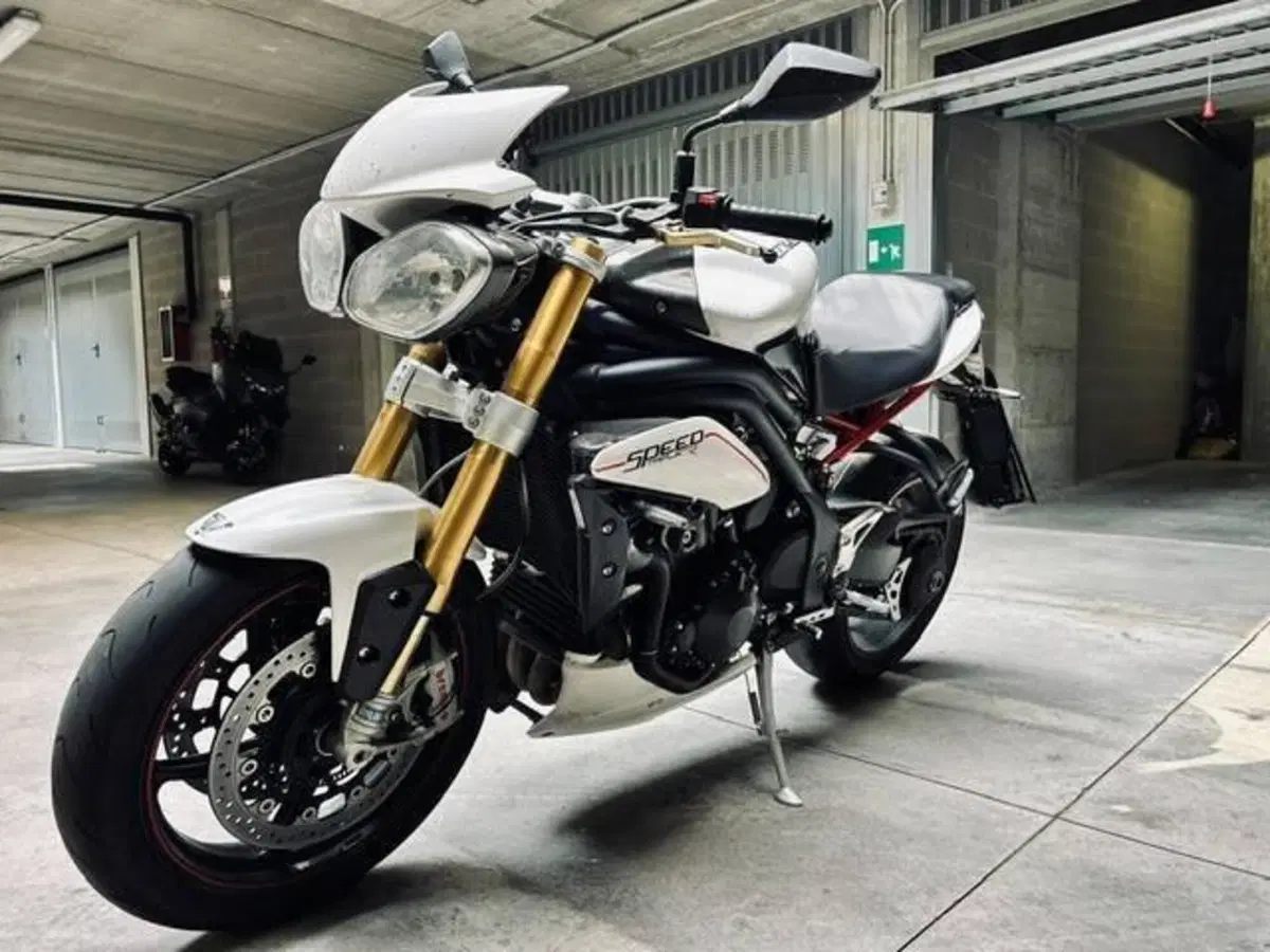 Triumph Speed Triple 1050 R ABS (2011 - 15) (2)