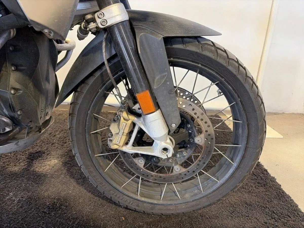 Bmw R 1250 GS (2019 - 20) (8)