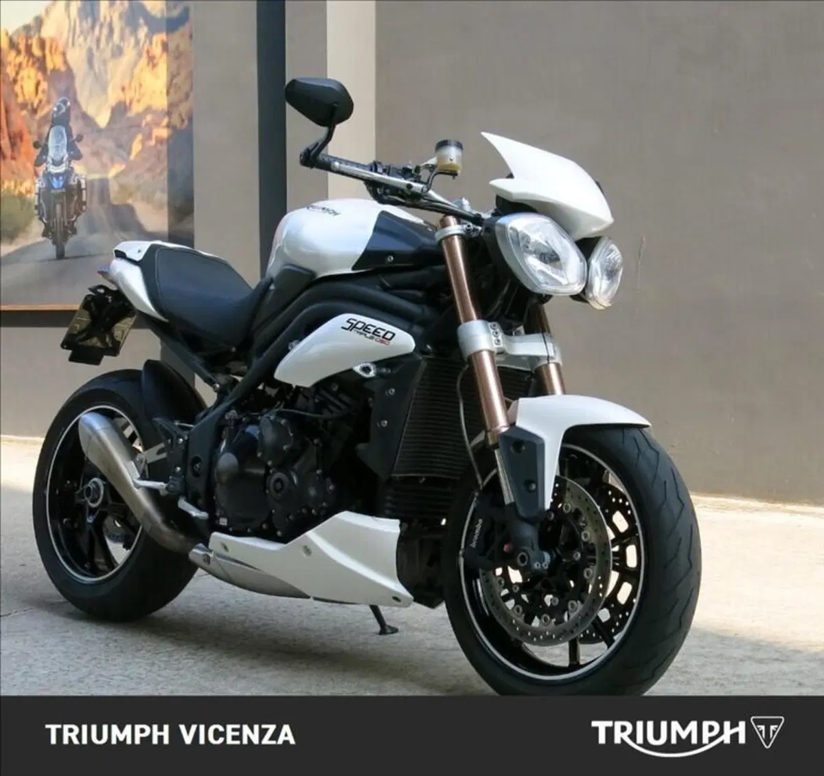 Triumph Speed Triple 1050 (2005 - 11) (2)