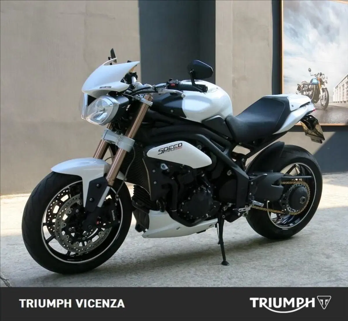 Triumph Speed Triple 1050 (2005 - 11) (4)