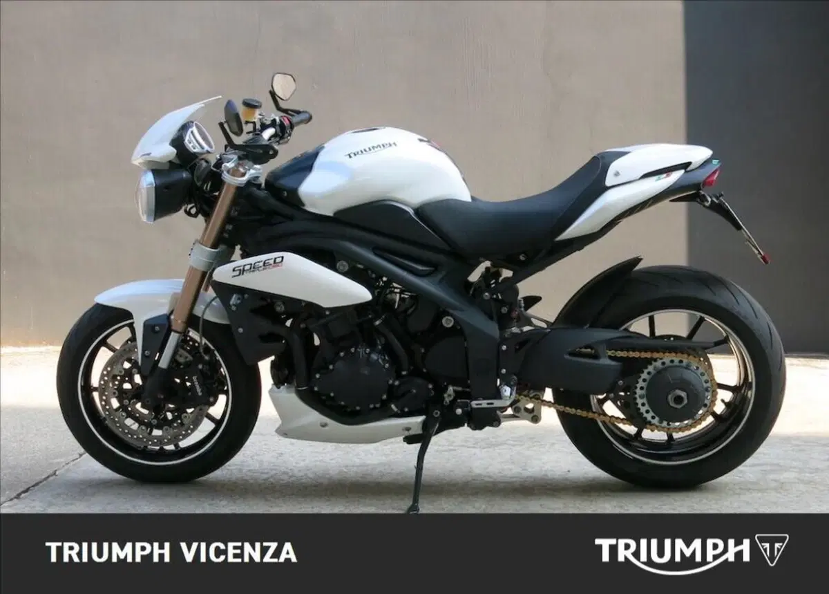 Triumph Speed Triple 1050 (2005 - 11) (3)