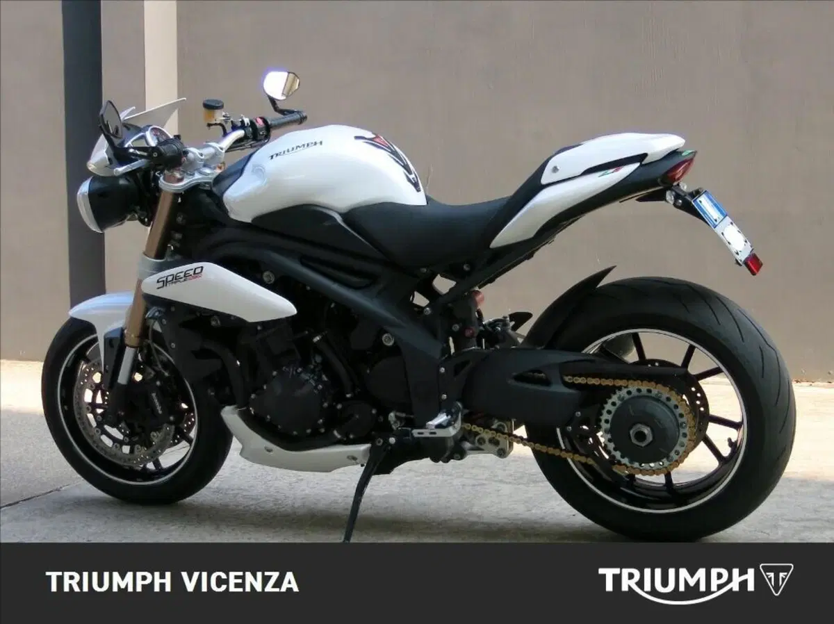 Triumph Speed Triple 1050 (2005 - 11) (5)