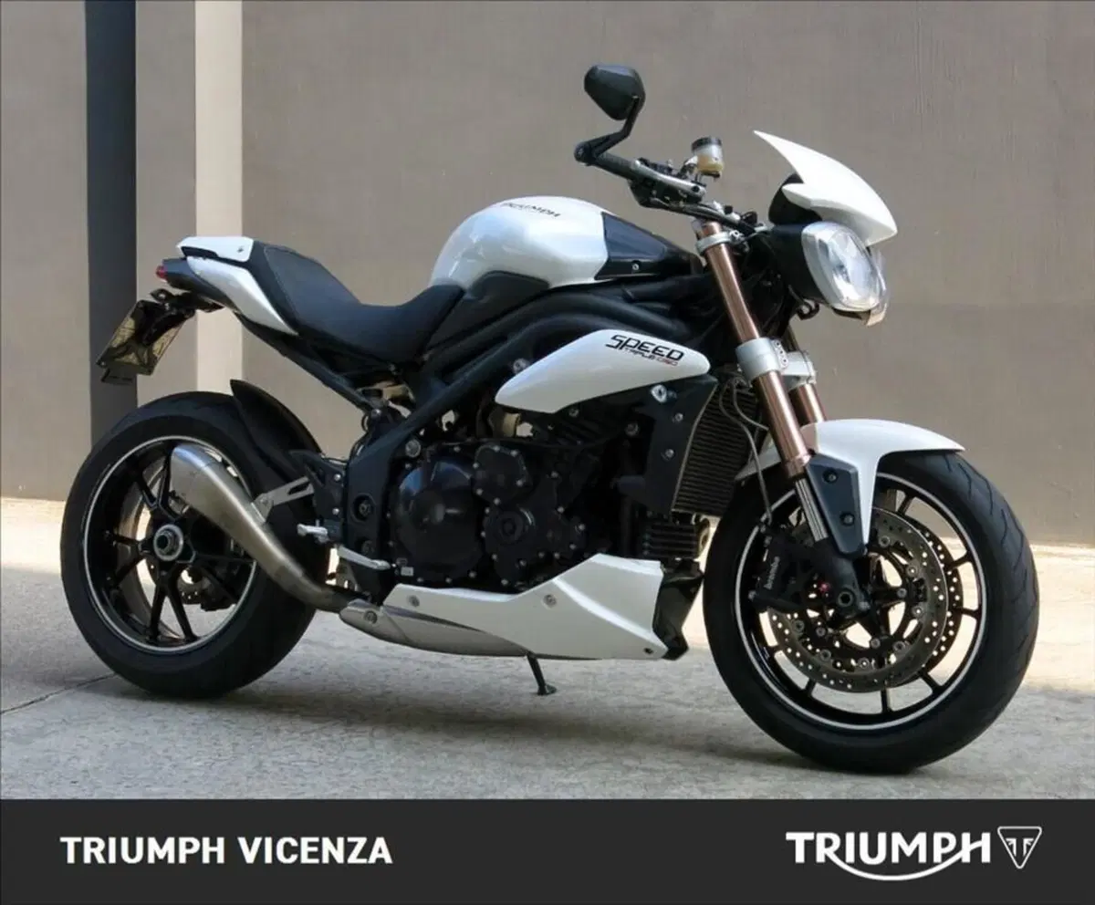 Triumph Speed Triple 1050 (2005 - 11) (7)