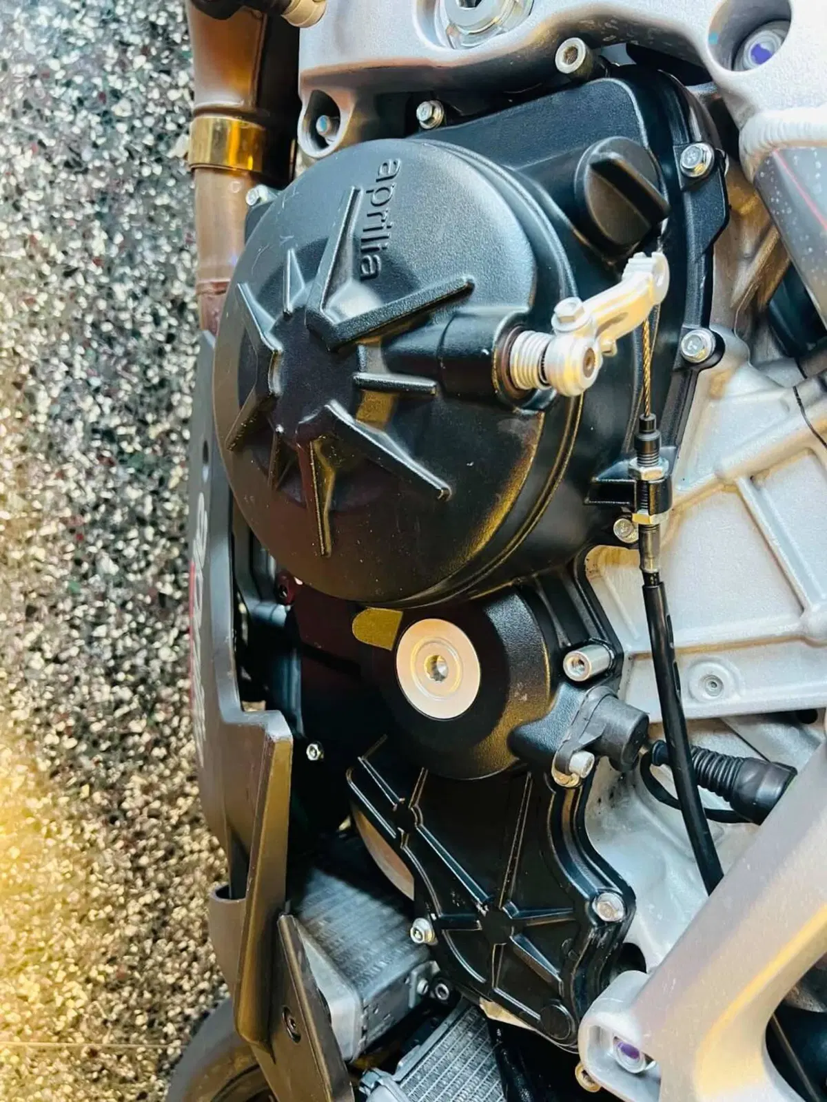 Aprilia Tuono V4 Factory (2021 - 24) (9)