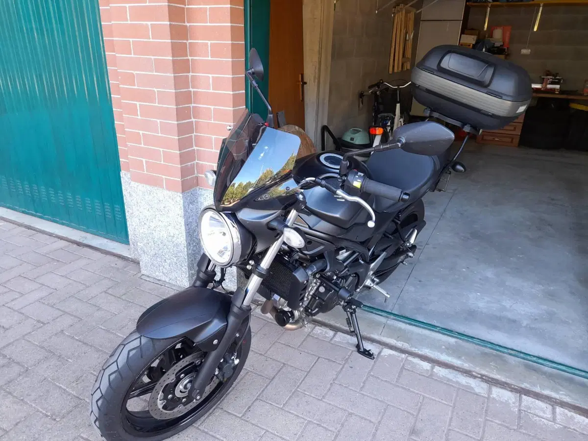 Suzuki SV 650 (2016 - 20) (3)