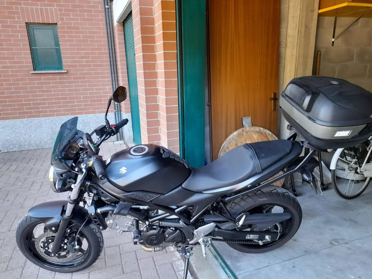 Suzuki SV 650 (2016 - 20) (4)