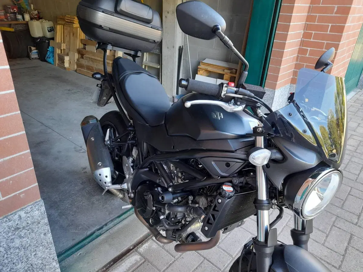 Suzuki SV 650 (2016 - 20) (6)