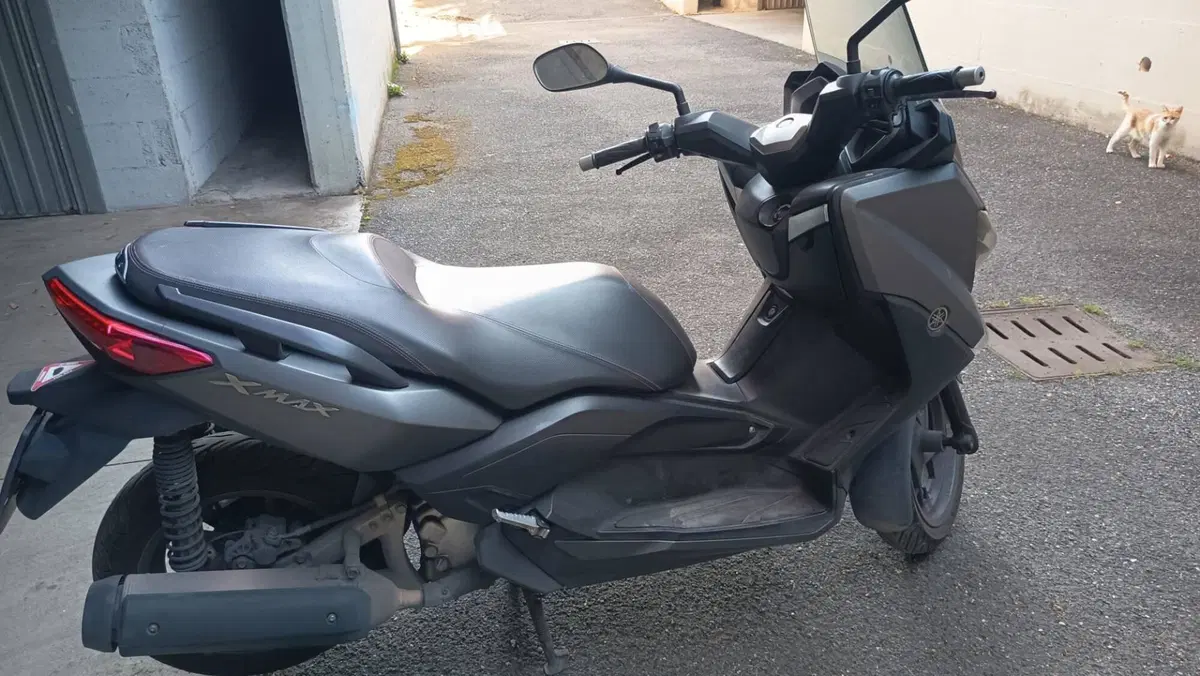 Yamaha X-Max 250 (2014 - 16) (5)