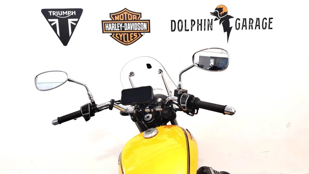 Moto Guzzi V9 Roamer (2016 - 18) (13)