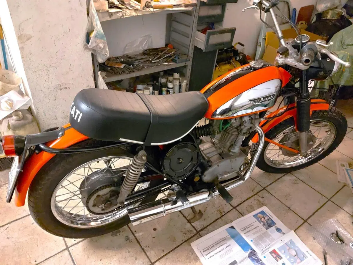 Ducati 350 scrambler (2)