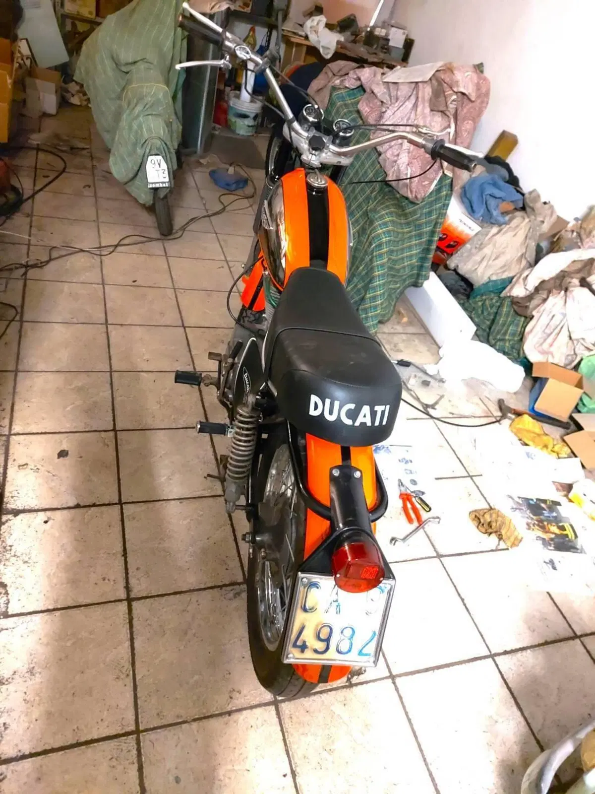 Ducati 350 scrambler (3)