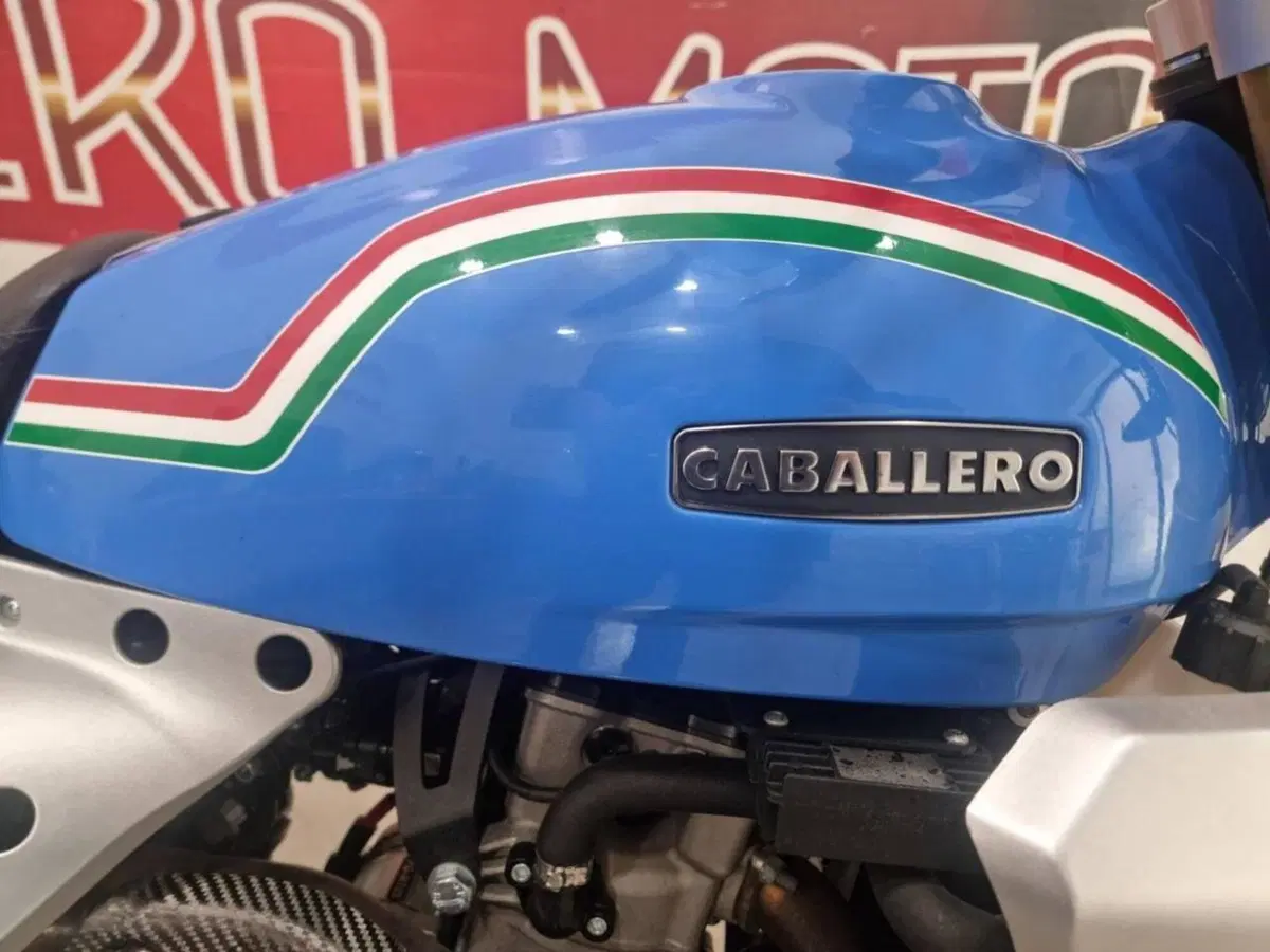 Fantic Motor Caballero 500 Scrambler Anniversary (2021 - 23) (5)