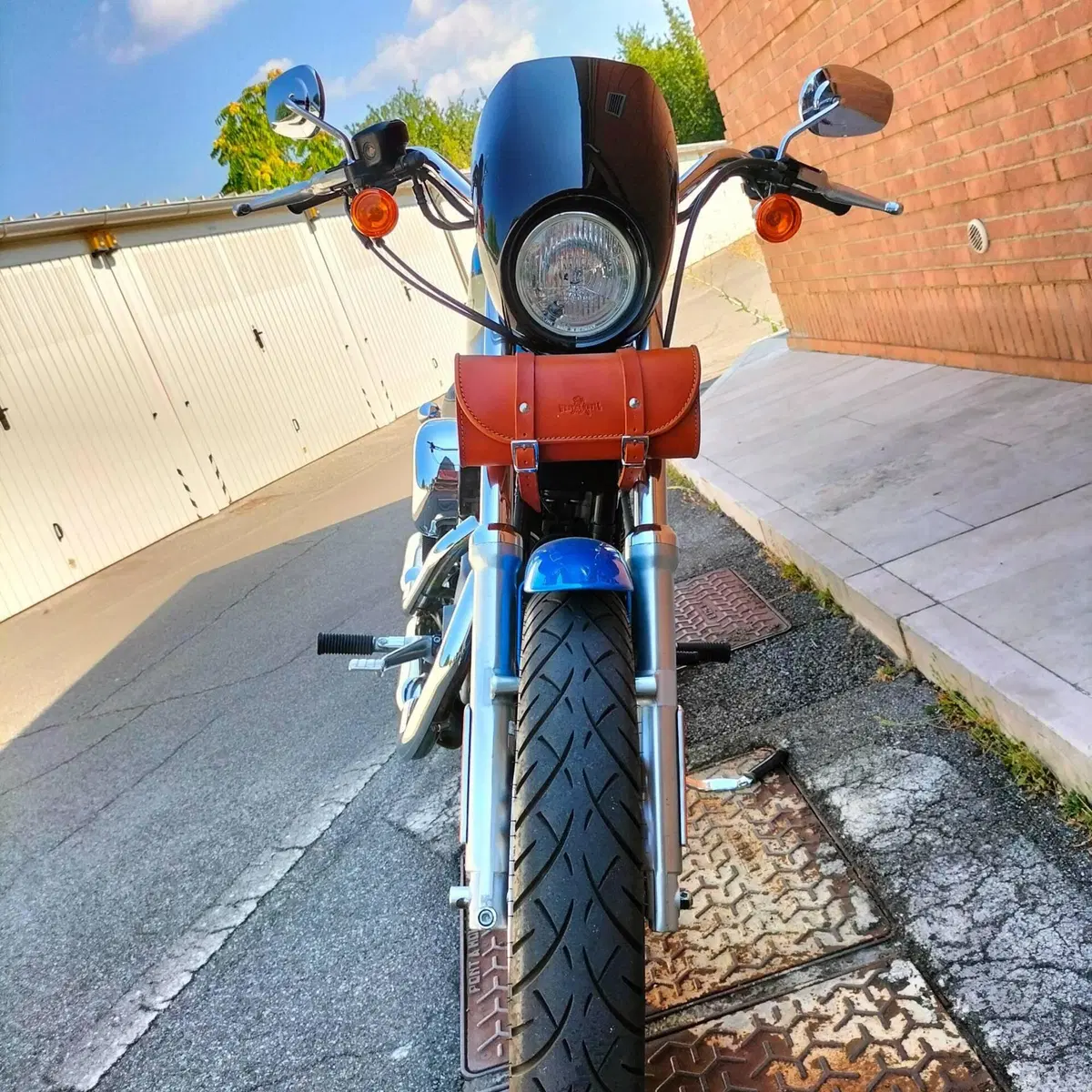 Harley-Davidson 1200 Roadster (2002 - 05) - XL 1200R (5)