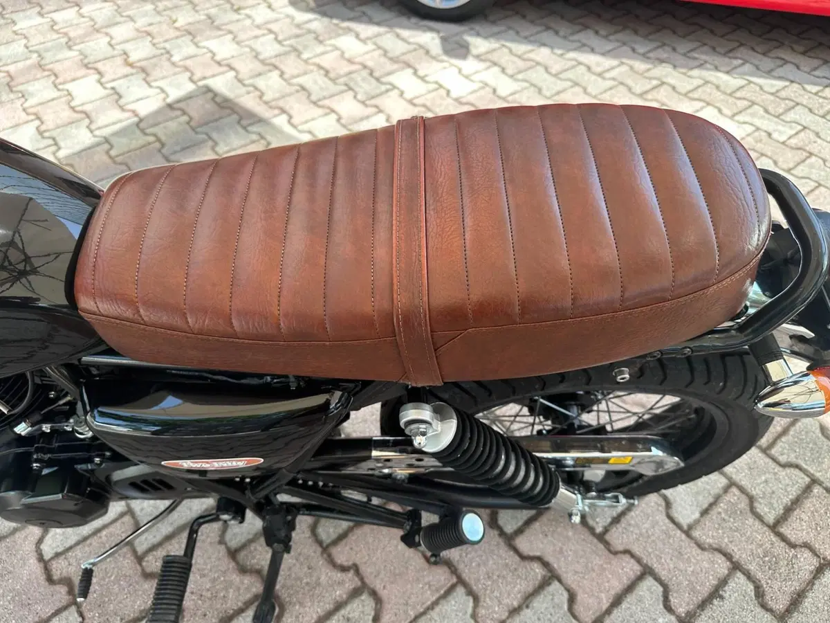 Mash Italia Black Seven 250 (2017 - 20) (8)