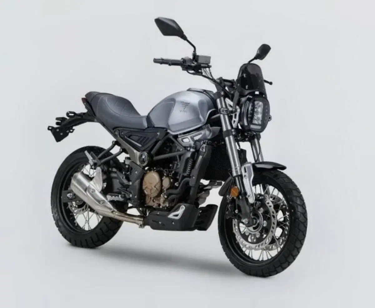 Voge Trofeo 300ACX Scrambler (2021 - 26) (2)