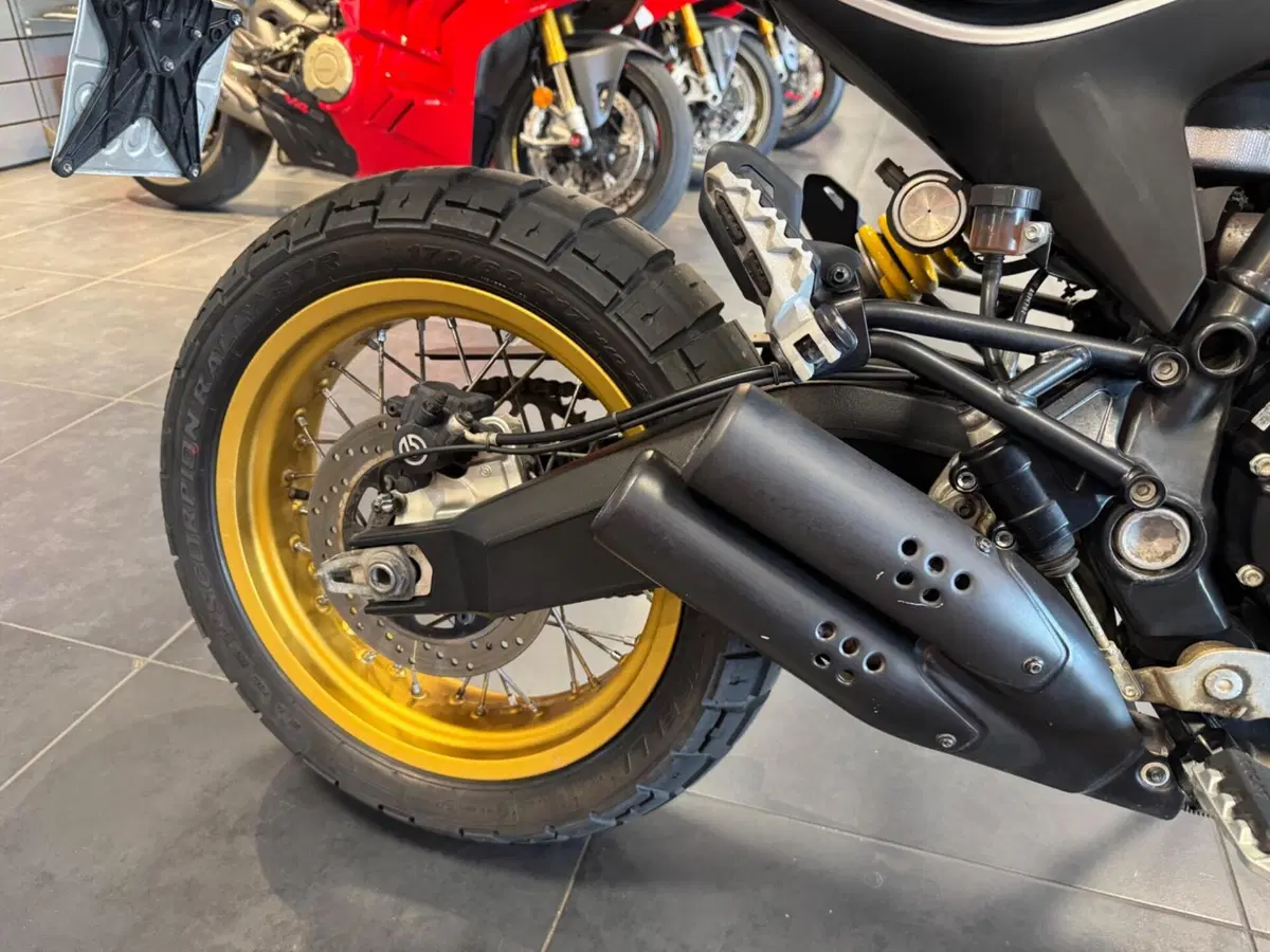 Ducati Scrambler 800 Desert Sled (2017 - 20) (14)
