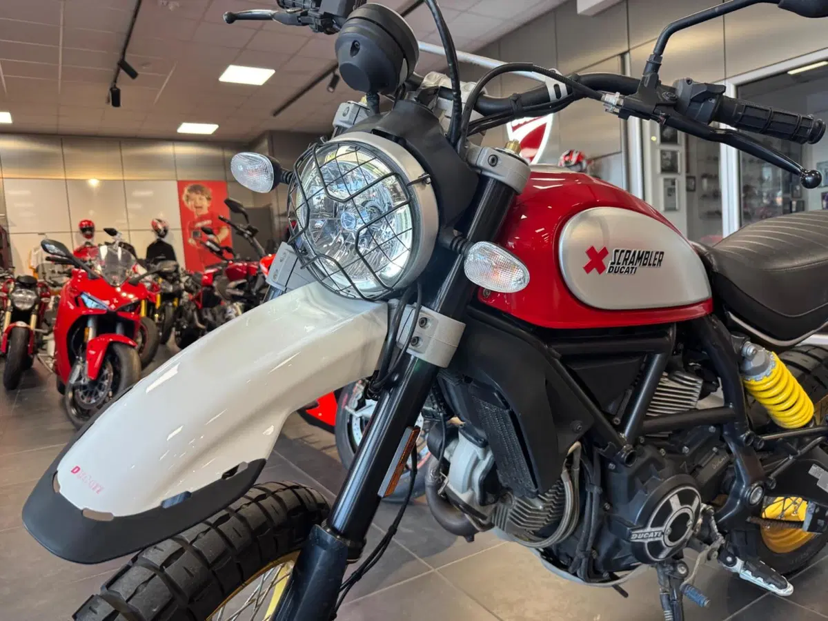 Ducati Scrambler 800 Desert Sled (2017 - 20) (5)