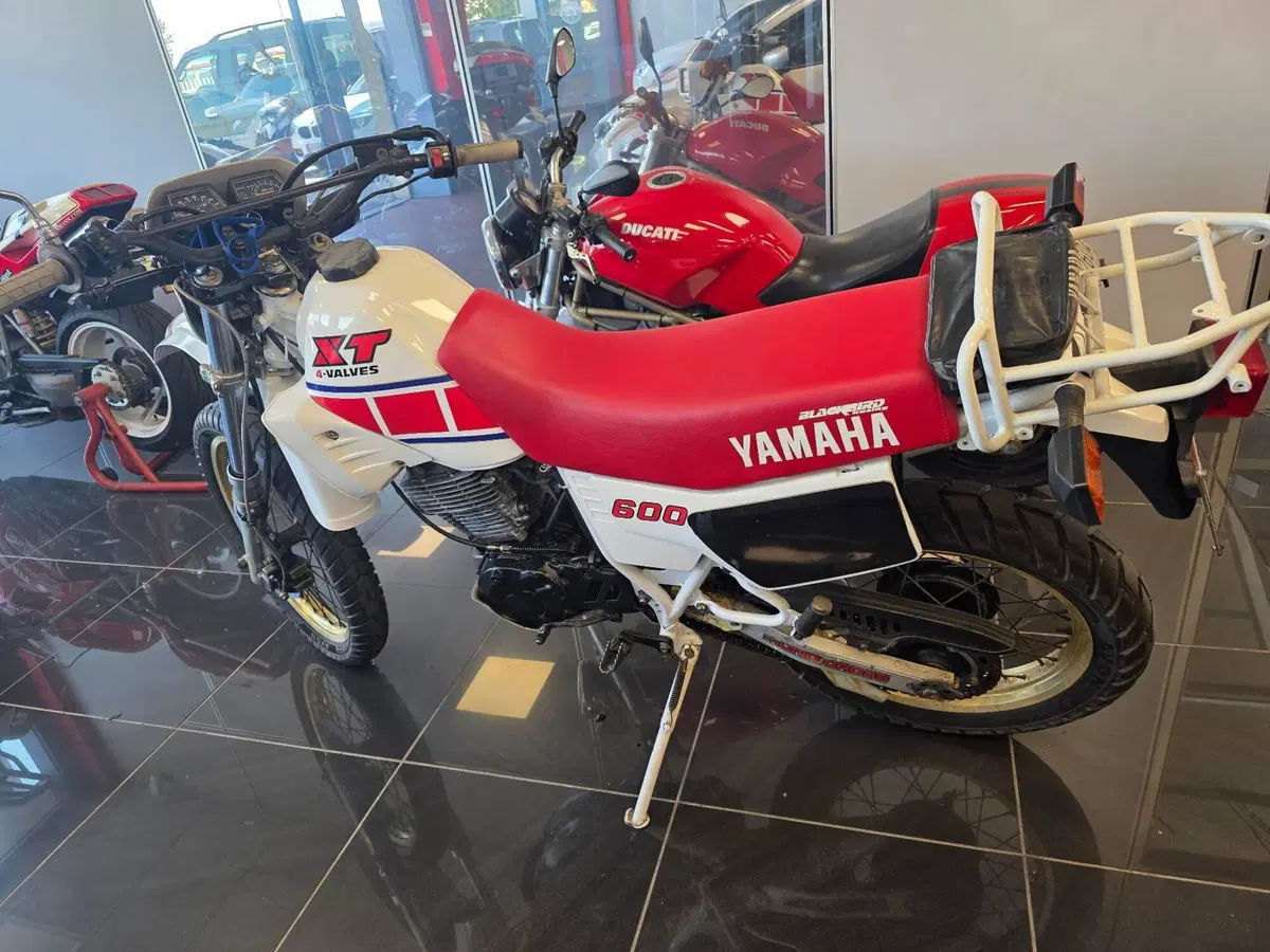 Yamaha xt 600  (3)