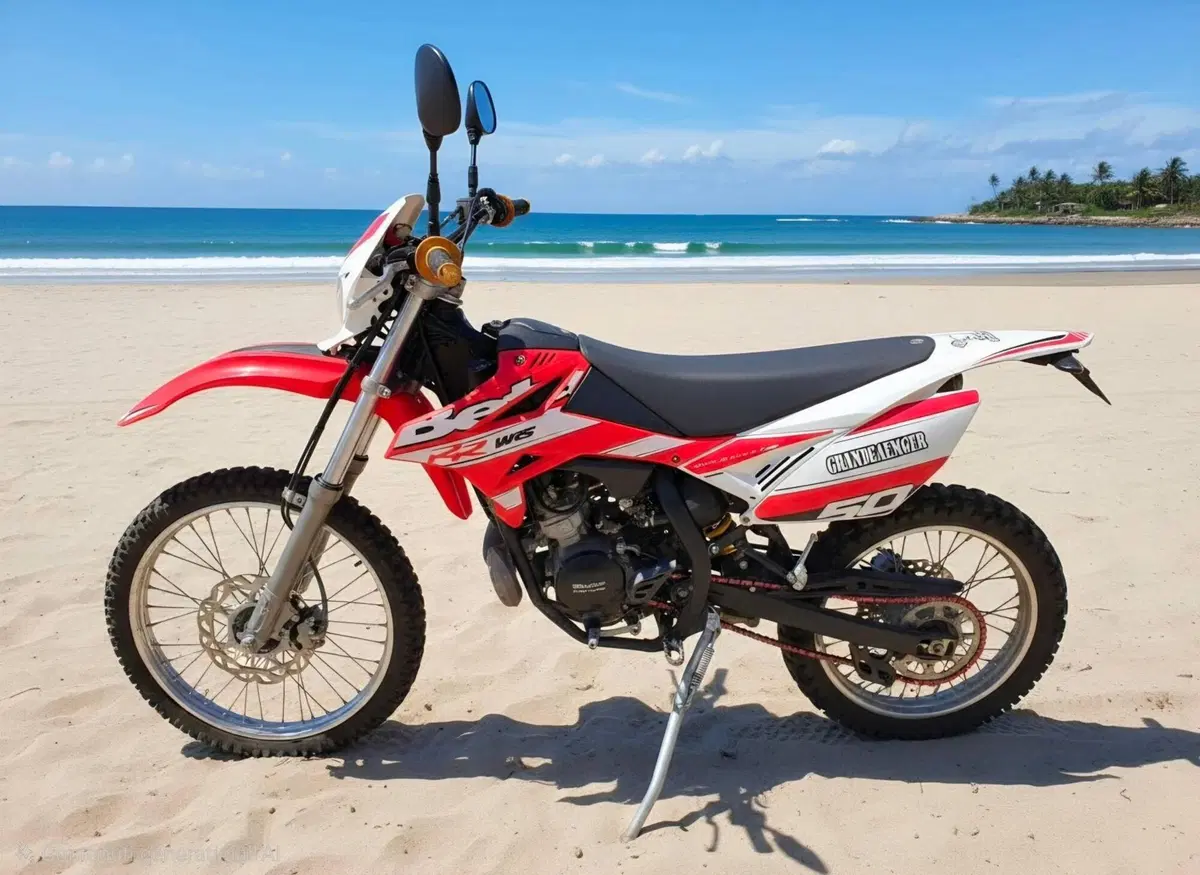 Betamotor RR 50 Enduro (2011 - 18)