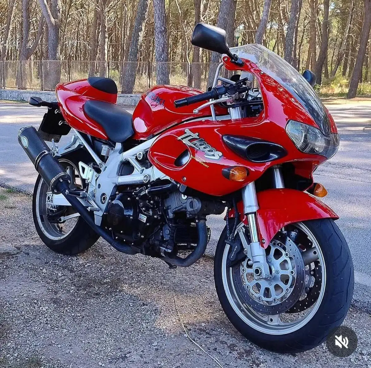 Suzuki TL 1000 S (1997 - 03) (4)