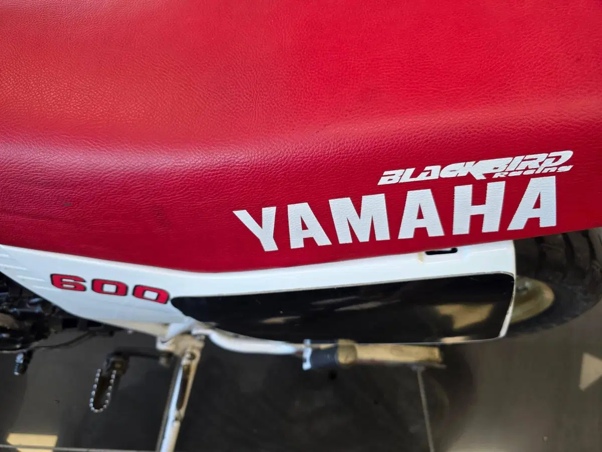 Yamaha XT 600 (1984 - 98) (10)