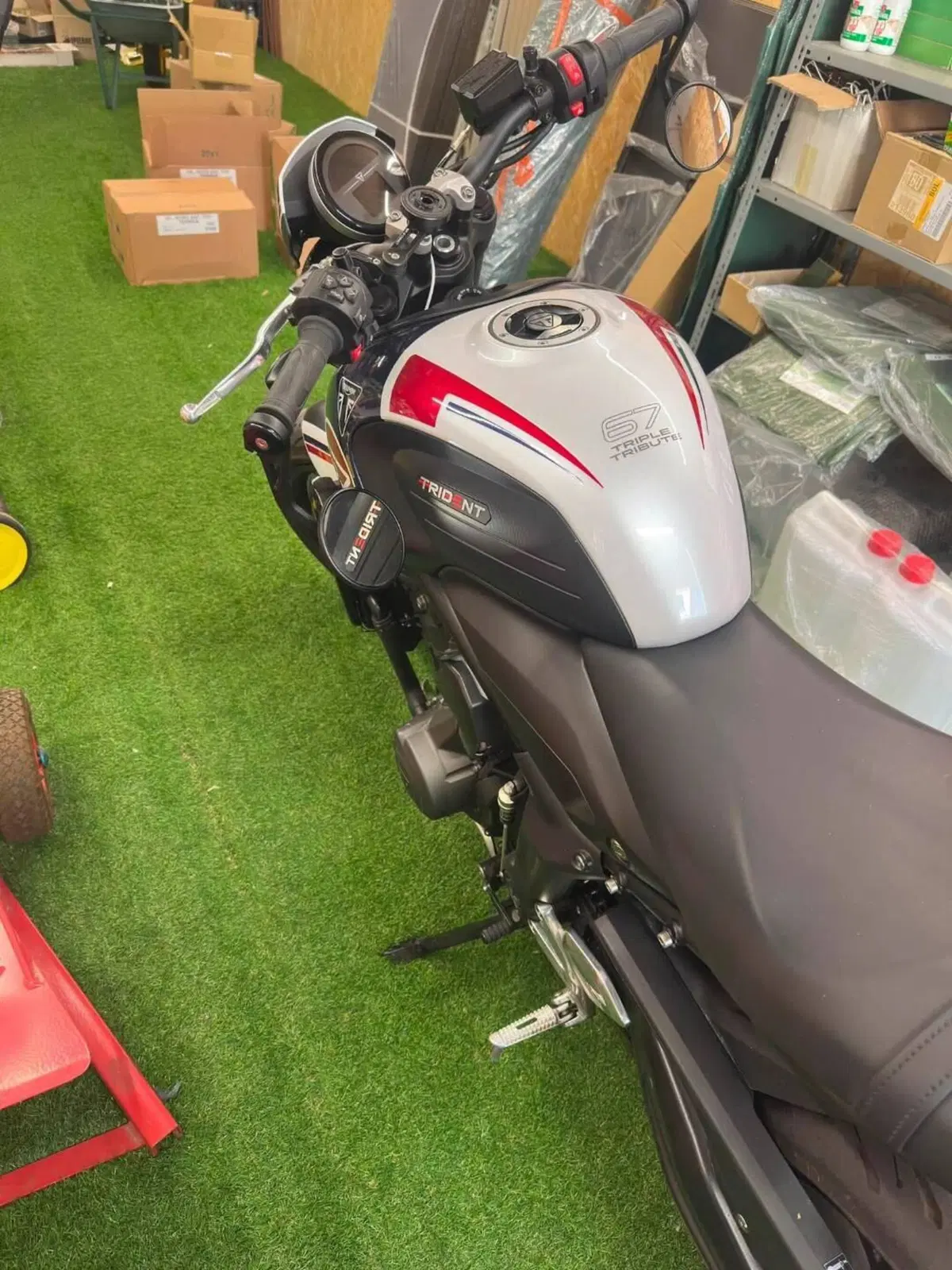 Triumph Trident 660 Triple Tribute Edition (2024) (3)