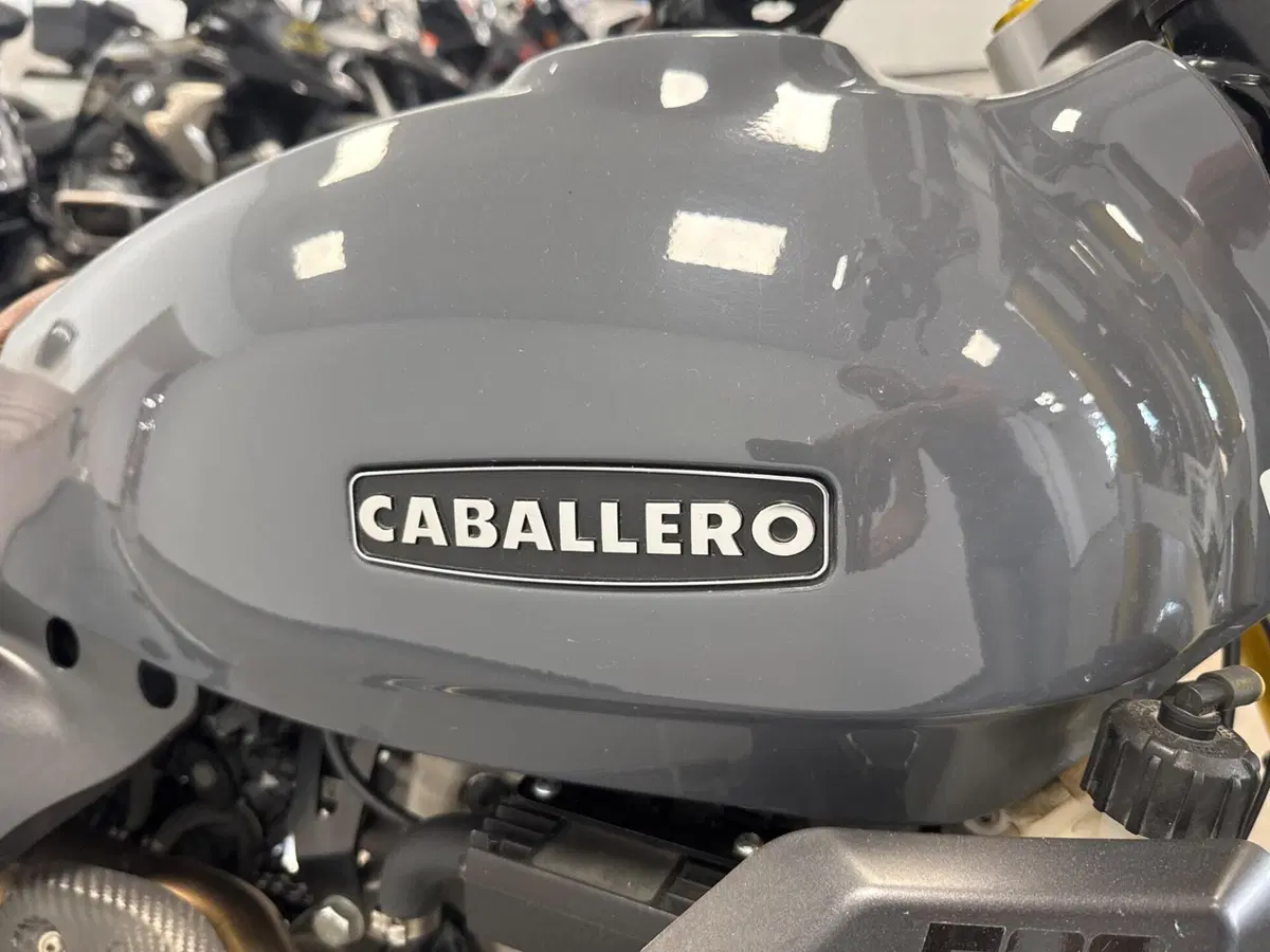 Fantic Motor Caballero 500 Scrambler Deluxe (2021 - 23) (20)