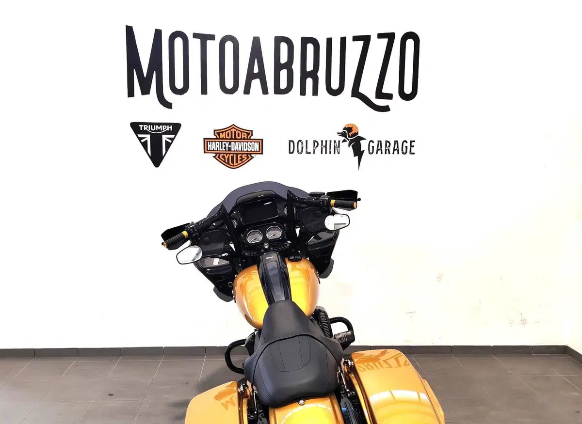 Harley-Davidson Road Glide Special (2021 - 23) (12)